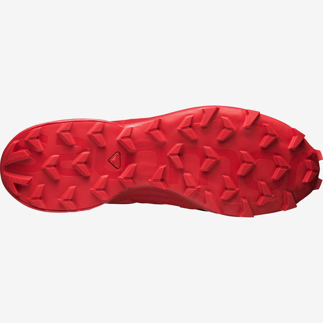 Speedcross 5 Shoe Men's