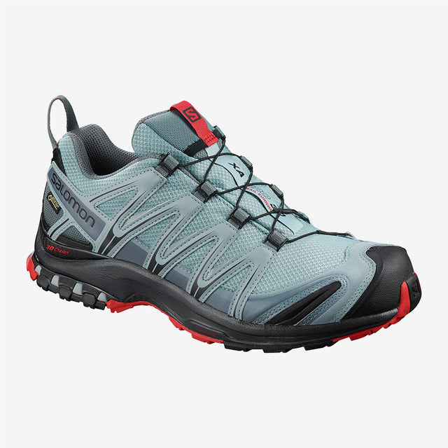 XA Pro 3D GTX  Shoe Men's