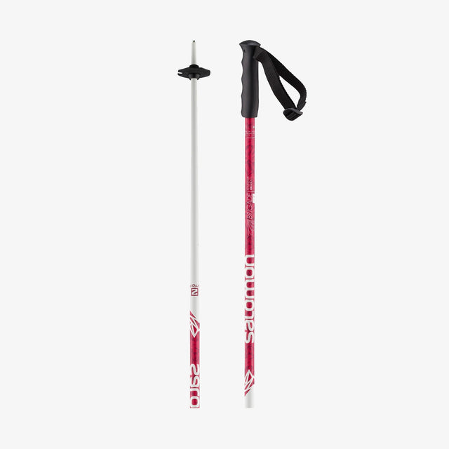 BRIGADE SKI POLES JUNIOR - D2X