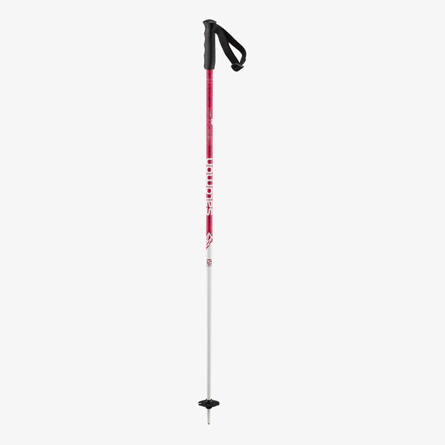 BRIGADE SKI POLES JUNIOR - D2X