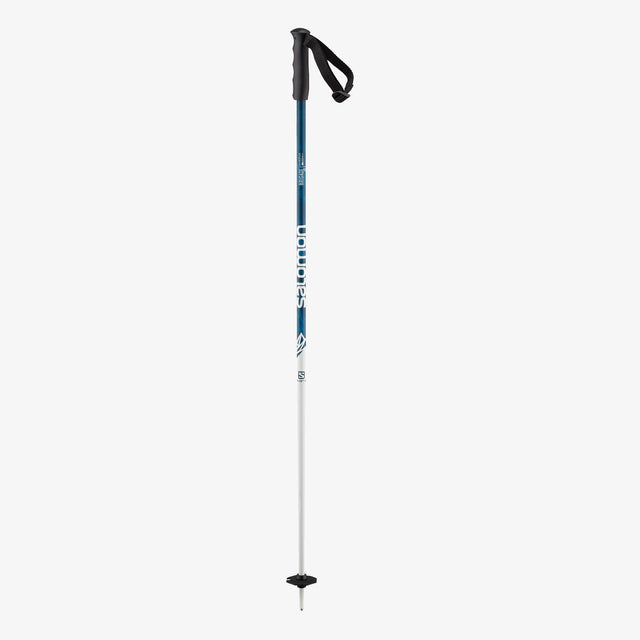 BRIGADE SKI POLES JUNIOR - D2X