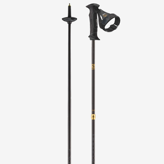 ELEMENT CARBON ERGO S3 SKI POLES