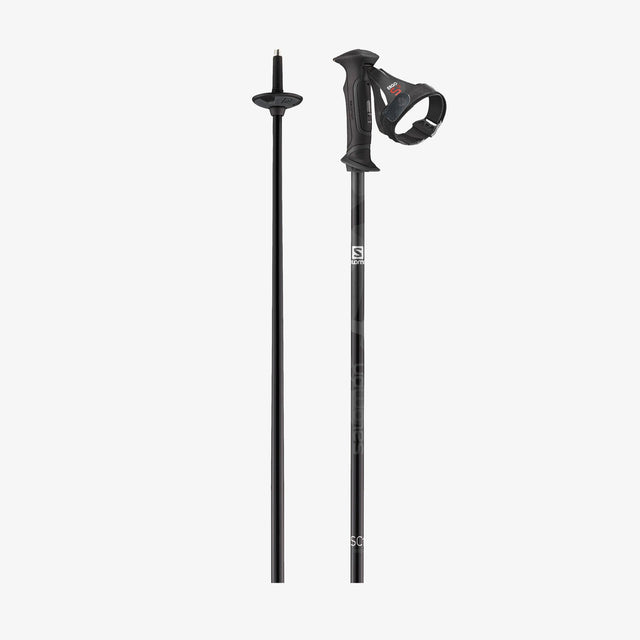 SC1 ERGO S3 SKI POLES - D2X