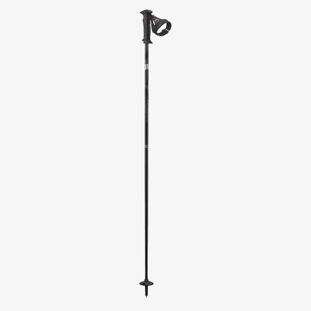 SC1 ERGO S3 SKI POLES - D2X