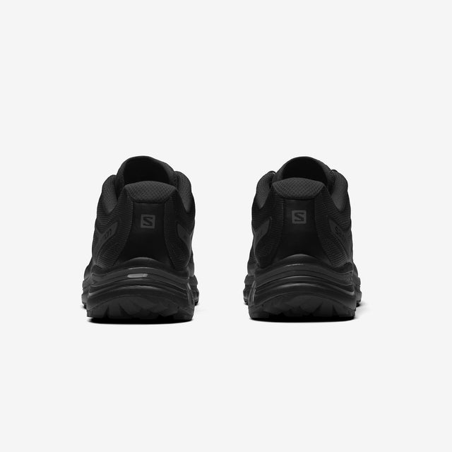 XT-WINGS 2