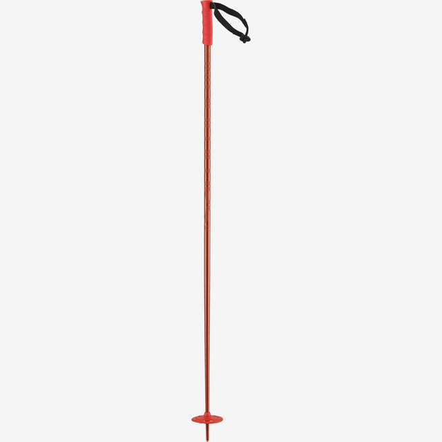 HACKER SKI POLES - D2X