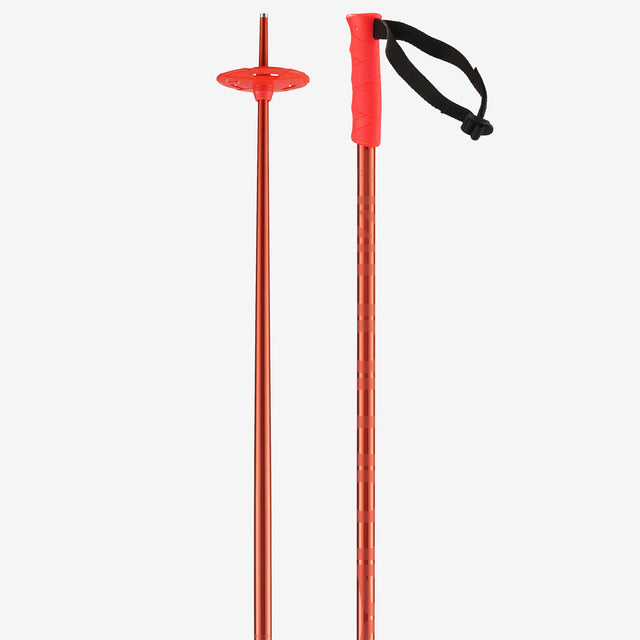 HACKER SKI POLES - D2X