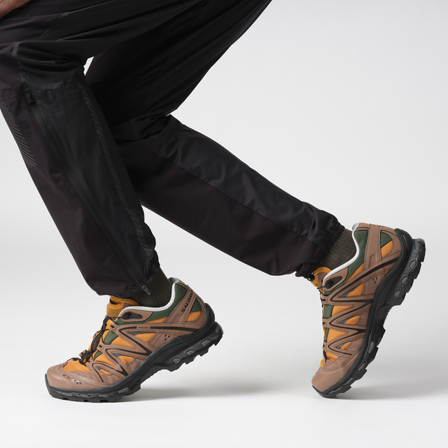 XT-QUEST 75TH