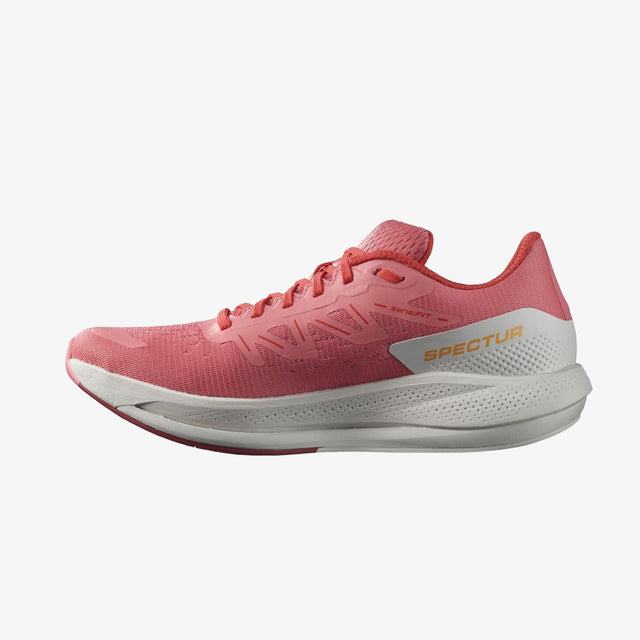 SPECTUR WOMEN'S