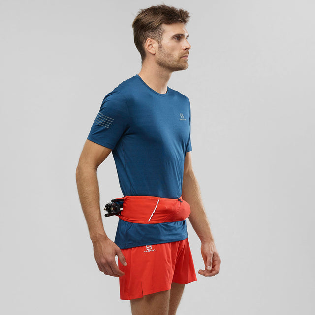 Pulse Belt