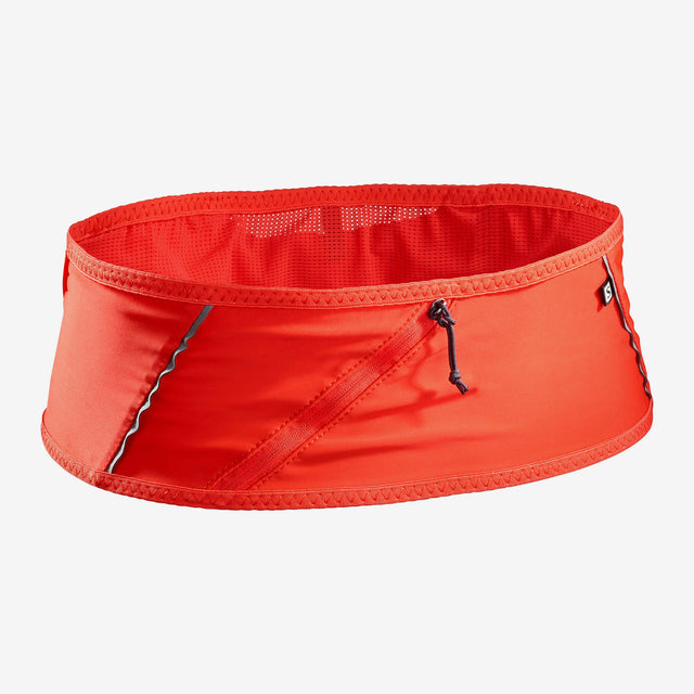 Pulse Belt