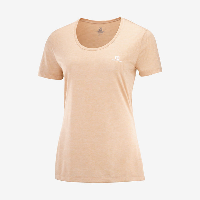 Agile SS Tee Women's